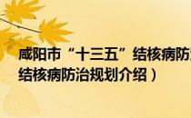 咸阳市“十三五”结核病防治规划（关于咸阳市“十三五”结核病防治规划介绍）