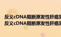 反义cDNA阻断原发性肝癌异常Wnt通路的实验研究（关于反义cDNA阻断原发性肝癌异常Wnt通路的实验研究介绍）