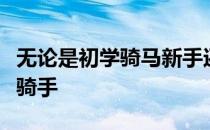 无论是初学骑马新手还是有一定的骑术基础的骑手