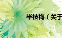半枝梅（关于半枝梅简介）