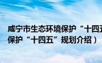 咸宁市生态环境保护“十四五”规划（关于咸宁市生态环境保护“十四五”规划介绍）