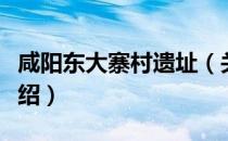 咸阳东大寨村遗址（关于咸阳东大寨村遗址介绍）