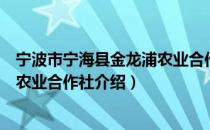 宁波市宁海县金龙浦农业合作社（关于宁波市宁海县金龙浦农业合作社介绍）