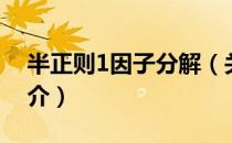 半正则1因子分解（关于半正则1因子分解简介）