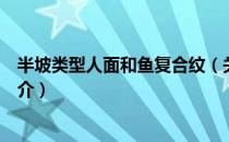 半坡类型人面和鱼复合纹（关于半坡类型人面和鱼复合纹简介）