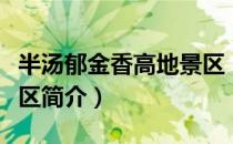 半汤郁金香高地景区（关于半汤郁金香高地景区简介）