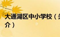 大通湖区中小学校（关于大通湖区中小学校简介）
