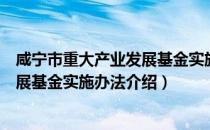 咸宁市重大产业发展基金实施办法（关于咸宁市重大产业发展基金实施办法介绍）