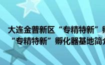 大连金普新区“专精特新”孵化器基地（关于大连金普新区“专精特新”孵化器基地简介）