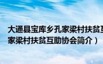 大通县宝库乡孔家梁村扶贫互助协会（关于大通县宝库乡孔家梁村扶贫互助协会简介）