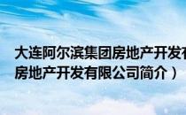 大连阿尔滨集团房地产开发有限公司（关于大连阿尔滨集团房地产开发有限公司简介）