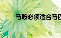 马鞍必须适合马匹才不会引起疼痛