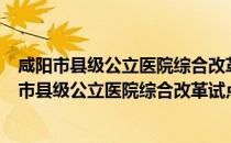 咸阳市县级公立医院综合改革试点工作实施方案（关于咸阳市县级公立医院综合改革试点工作实施方案介绍）