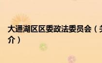 大通湖区区委政法委员会（关于大通湖区区委政法委员会简介）