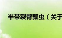 半带裂臀瓢虫（关于半带裂臀瓢虫简介）
