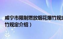 咸宁市限制燃放烟花爆竹规定（关于咸宁市限制燃放烟花爆竹规定介绍）