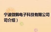 宁波微鹅电子科技有限公司（关于宁波微鹅电子科技有限公司介绍）