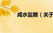 咸水盐雕（关于咸水盐雕介绍）