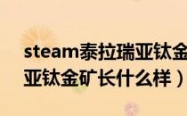 steam泰拉瑞亚钛金矿长什么样子（泰拉瑞亚钛金矿长什么样）