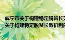 咸宁市关于构建稳定脱贫长效机制的实施方案（关于咸宁市关于构建稳定脱贫长效机制的实施方案介绍）