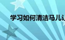 学习如何清洁马儿让马儿保持干净整洁