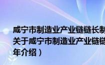 咸宁市制造业产业链链长制三年行动方案 2021—2023年（关于咸宁市制造业产业链链长制三年行动方案 2021—2023年介绍）