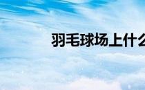 羽毛球场上什么样的球最好打