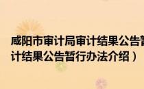 咸阳市审计局审计结果公告暂行办法（关于咸阳市审计局审计结果公告暂行办法介绍）