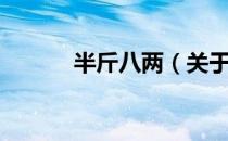 半斤八两（关于半斤八两简介）