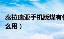 泰拉瑞亚手机版煤有什么用（泰拉瑞亚煤有什么用）