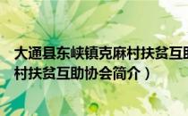 大通县东峡镇克麻村扶贫互助协会（关于大通县东峡镇克麻村扶贫互助协会简介）