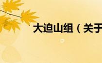 大迫山组（关于大迫山组简介）