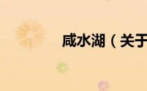 咸水湖（关于咸水湖介绍）
