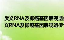 反义RNA及抑癌基因表观遗传学沉默分子机制研究（关于反义RNA及抑癌基因表观遗传学沉默分子机制研究介绍）