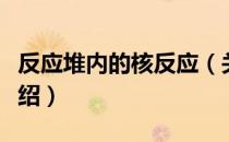 反应堆内的核反应（关于反应堆内的核反应介绍）