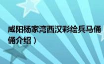 咸阳杨家湾西汉彩绘兵马俑（关于咸阳杨家湾西汉彩绘兵马俑介绍）
