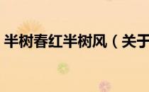 半树春红半树风（关于半树春红半树风简介）