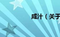 咸汁（关于咸汁介绍）