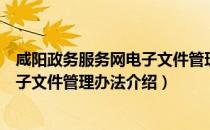 咸阳政务服务网电子文件管理办法（关于咸阳政务服务网电子文件管理办法介绍）