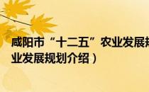 咸阳市“十二五”农业发展规划（关于咸阳市“十二五”农业发展规划介绍）