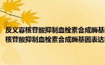反义寡核苷酸抑制血栓素合成酶基因表达和血栓素A2生成（关于反义寡核苷酸抑制血栓素合成酶基因表达和血栓素A2生成介绍）