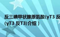 反三碘甲状腺原氨酸(γT3 反T3)（关于反三碘甲状腺原氨酸(γT3 反T3)介绍）