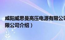 咸阳威思曼高压电源有限公司（关于咸阳威思曼高压电源有限公司介绍）
