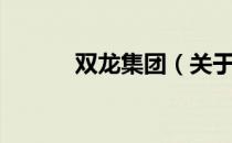 双龙集团（关于双龙集团介绍）