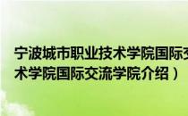 宁波城市职业技术学院国际交流学院（关于宁波城市职业技术学院国际交流学院介绍）