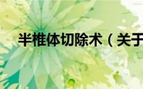 半椎体切除术（关于半椎体切除术简介）