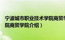 宁波城市职业技术学院商贸学院（关于宁波城市职业技术学院商贸学院介绍）