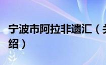 宁波市阿拉非遗汇（关于宁波市阿拉非遗汇介绍）