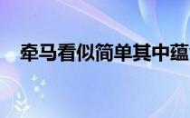牵马看似简单其中蕴含的哲理却包罗万象