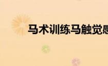 马术训练马触觉感受器和触觉行为